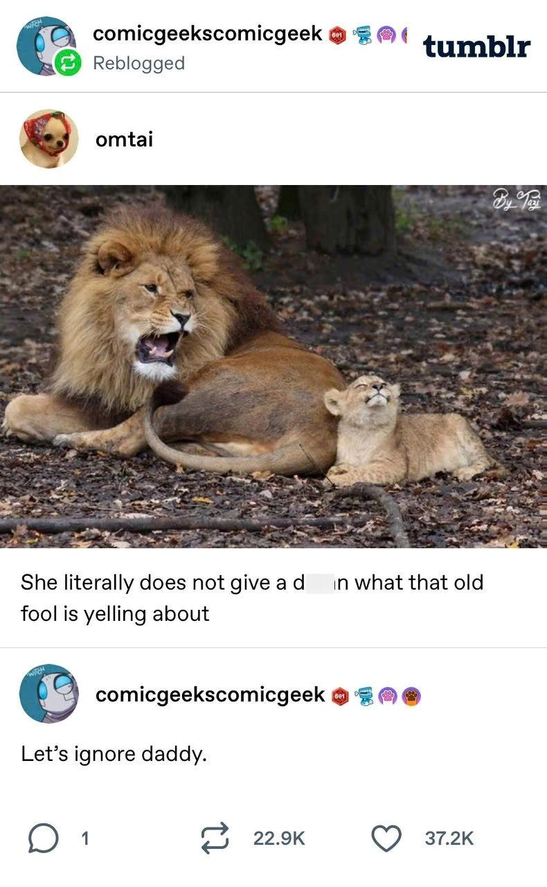 WITCH comicgeekscomicgeek I tumblr Reblogged omtai She literally does not give a d in what that old fool is yelling about WITCH comicgeekscomicgeek M Let's ignore daddy. ☐ 1 22.9K 37.2K By Tay