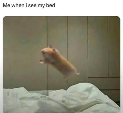 Me when i see my bed