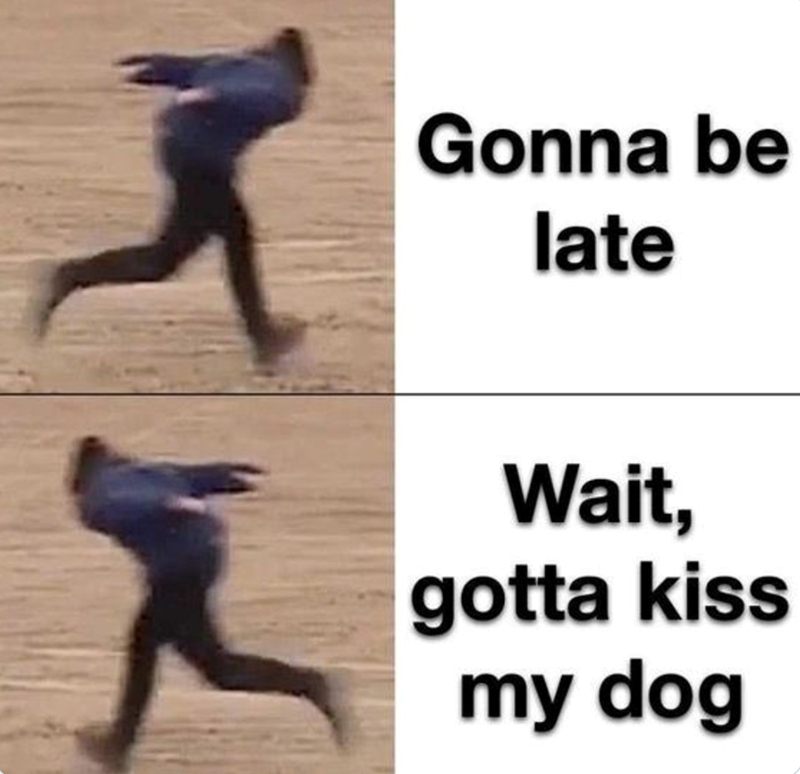 Gonna be late Wait, gotta kiss my dog