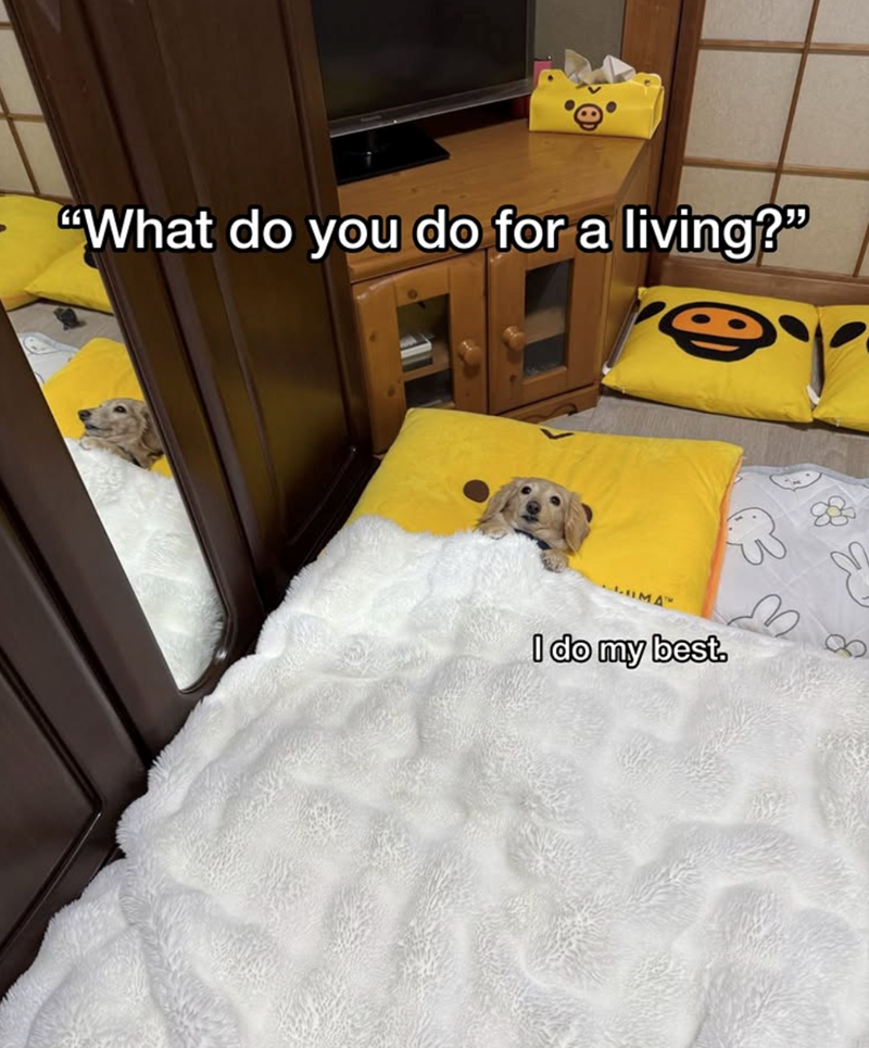 "What do you do for a living?" CLIMA I do my best.