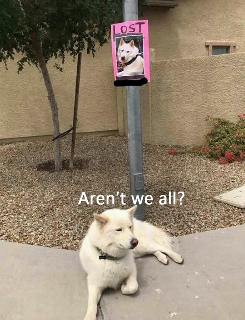 LOST Aren't we all?