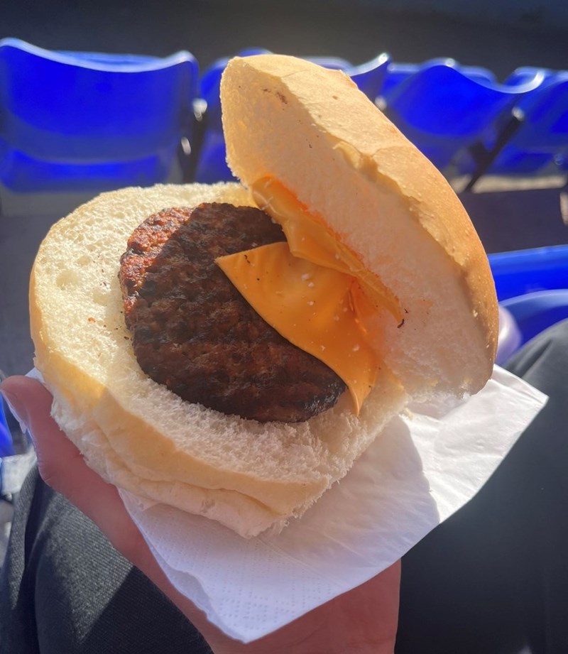 Cheezburger Image 10638257408