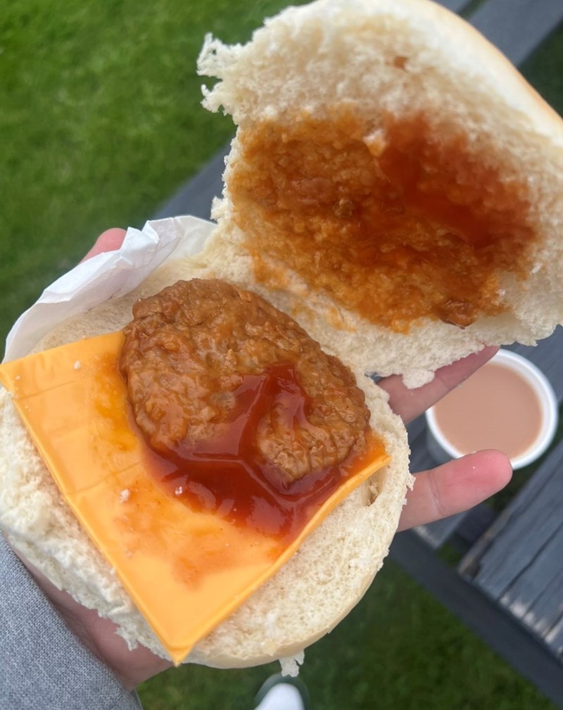 Cheezburger Image 10638258432