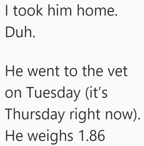 I took him home. Duh. He went to the vet on Tuesday (it's Thursday right now). He weighs 1.86