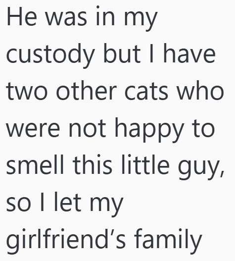 He was in my custody but I have two other cats who were not happy to smell this little guy, so I let my girlfriend's family