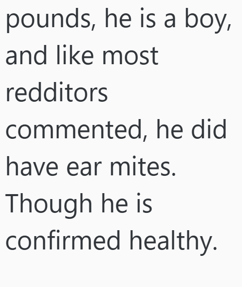 pounds, he is a boy, and like most redditors commented, he did have ear mites. Though he is confirmed healthy.