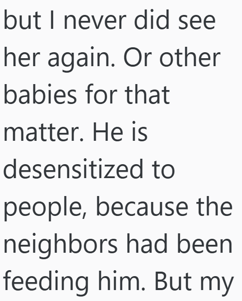 but I never did see her again. Or other babies for that matter. He is desensitized to people, because the neighbors had been feeding him. But my