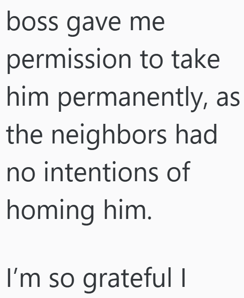 boss gave me permission to take him permanently, as the neighbors had no intentions of homing him. I'm so grateful I