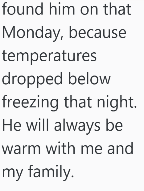 found him on that Monday, because temperatures dropped below freezing that night. He will always be warm with me and my family.