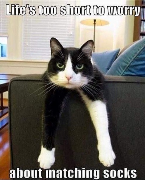 Life's too short to worry about matching socks