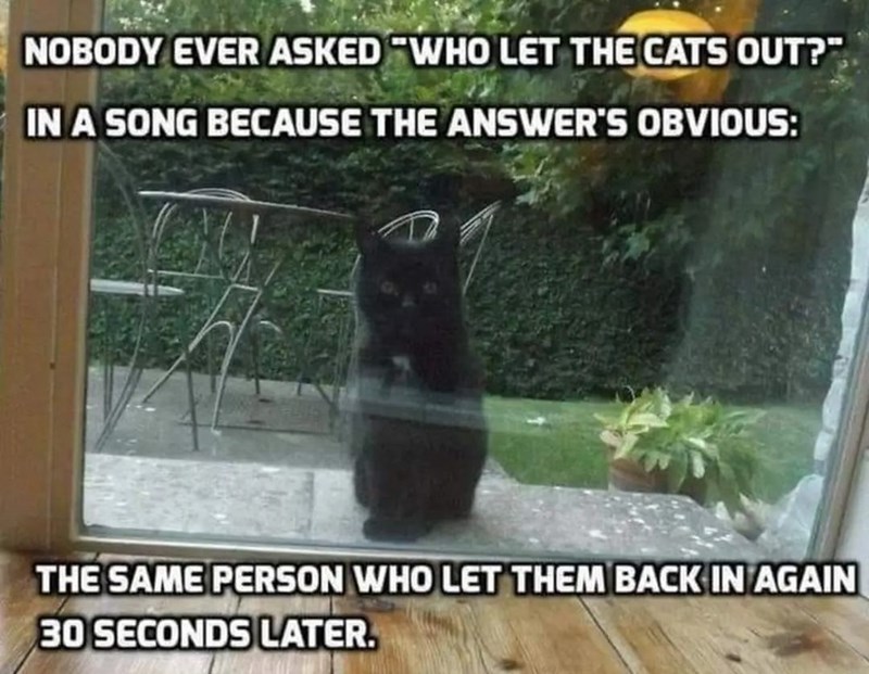 NOBODY EVER ASKED "WHO LET THE CATS OUT?" IN A SONG BECAUSE THE ANSWER'S OBVIOUS: THE SAME PERSON WHO LET THEM BACK IN AGAIN 30 SECONDS LATER.