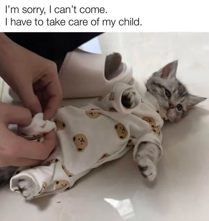 I'm sorry, I can't come. I have to take care of my child.
