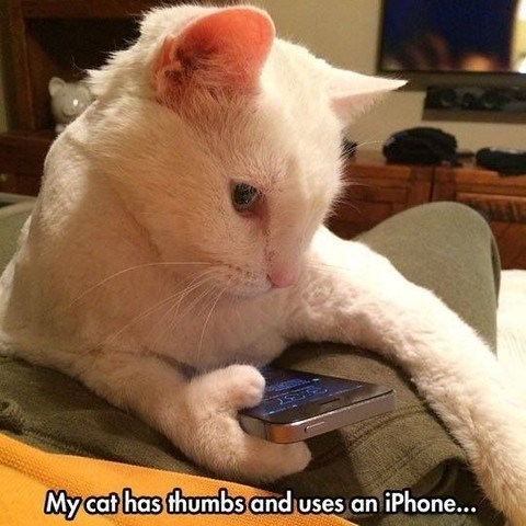104 My cat has thumbs and uses an iPhone...