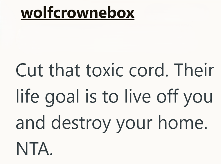 wolfcrownebox Cut that toxic cord. Their life goal is to live off you and destroy your home. NTA.
