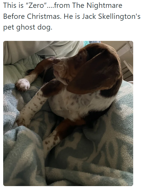 This is "Zero"....from The Nightmare Before Christmas. He is Jack Skellington's pet ghost dog.