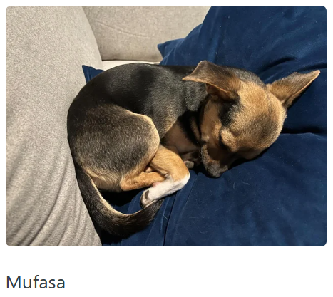 Mufasa