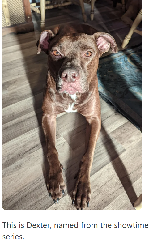 This is Dexter, named from the showtime series.
