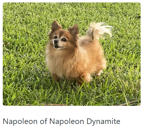 Napoleon of Napoleon Dynamite
