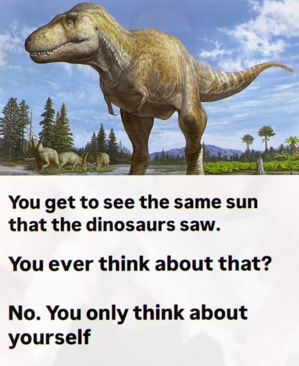 You get to see the same sun that the dinosaurs saw. You ever think about that? No. You only think about yourself