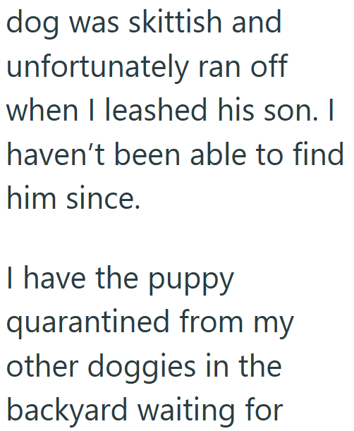 dog was skittish and unfortunately ran off when I leashed his son. I haven't been able to find him since. I have the puppy quarantined from my other doggies in the backyard waiting for