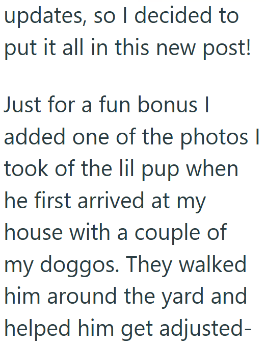updates, so I decided to put it all in this new post! Just for a fun bonus I added one of the photos I took of the lil pup when he first arrived at my house with a couple of my doggos. They walked him around the yard and helped him get adjusted-