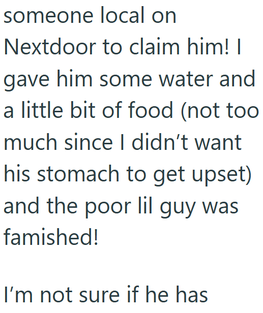 someone local on Nextdoor to claim him! I gave him some water and a little bit of food (not too much since I didn't want his stomach to get upset) and the poor lil guy was famished! I'm not sure if he has