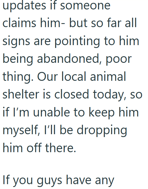 updates if someone claims him- but so far all signs are pointing to him being abandoned, poor thing. Our local animal shelter is closed today, so if I'm unable to keep him myself, I'll be dropping him off there. If you guys have any