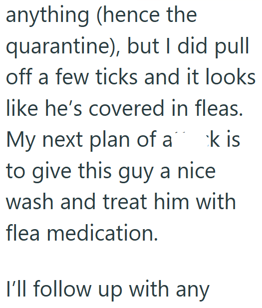 anything (hence the quarantine), but I did pull off a few ticks and it looks like he's covered in fleas. My next plan of a to give this guy a nice k is wash and treat him with flea medication. I'll follow up with any