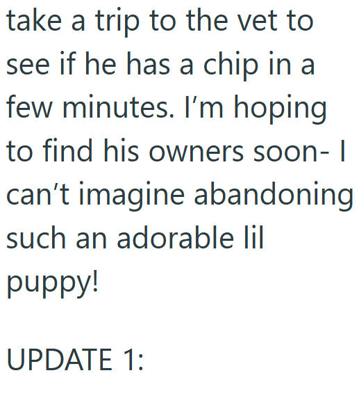 take a trip to the vet to see if he has a chip in a few minutes. I'm hoping to find his owners soon- I can't imagine abandoning such an adorable lil puppy! UPDATE 1: