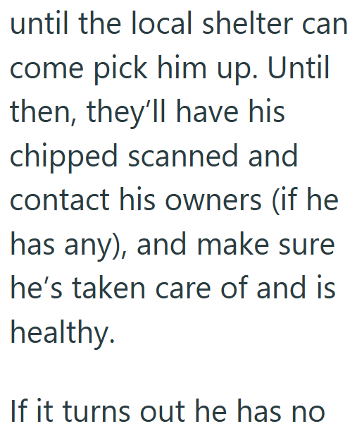 until the local shelter can come pick him up. Until then, they'll have his chipped scanned and contact his owners (if he has any), and make sure he's taken care of and is healthy. If it turns out he has no