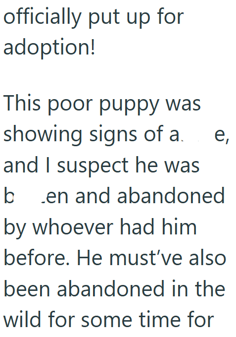 officially put up for adoption! This poor puppy was showing signs of a. e, and I suspect he was ben and abandoned by whoever had him before. He must've also been abandoned in the wild for some time for