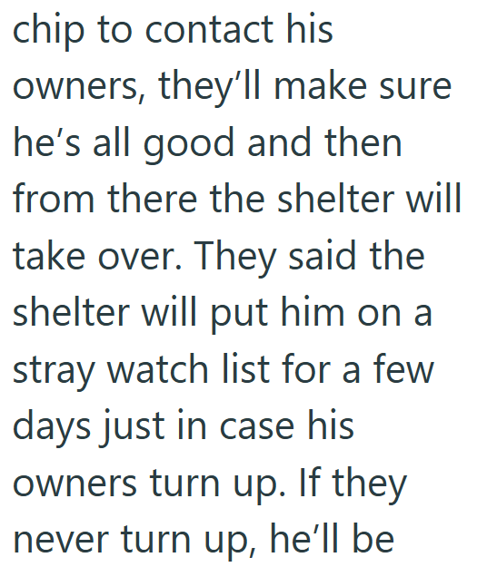 chip to contact his owners, they'll make sure he's all good and then from there the shelter will take over. They said the shelter will put him on a stray watch list for a few days just in case his owners turn up. If they never turn up, he'll be