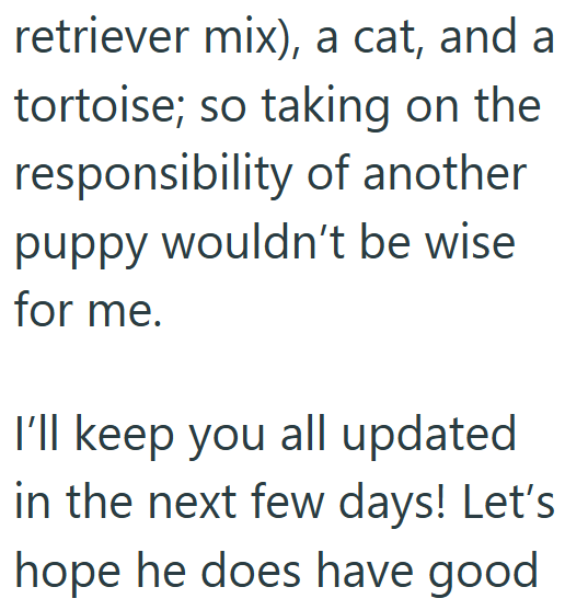 retriever mix), a cat, and a tortoise; so taking on the responsibility of another puppy wouldn't be wise for me. I'll keep you all updated in the next few days! Let's hope he does have good