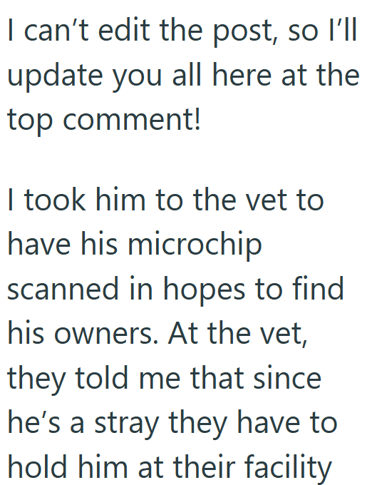 I can't edit the post, so I'll update you all here at the top comment! I took him to the vet to have his microchip scanned in hopes to find his owners. At the vet, they told me that since he's a stray they have to hold him at their facility