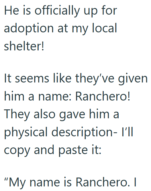 He is officially up for adoption at my local shelter! It seems like they've given him a name: Ranchero! They also gave him a physical description- I'll copy and paste it: "My name is Ranchero. I