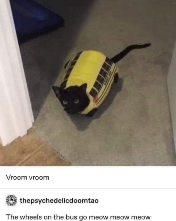 Vroom vroom thepsychedelicdoomtao The wheels on the bus go meow meow meow