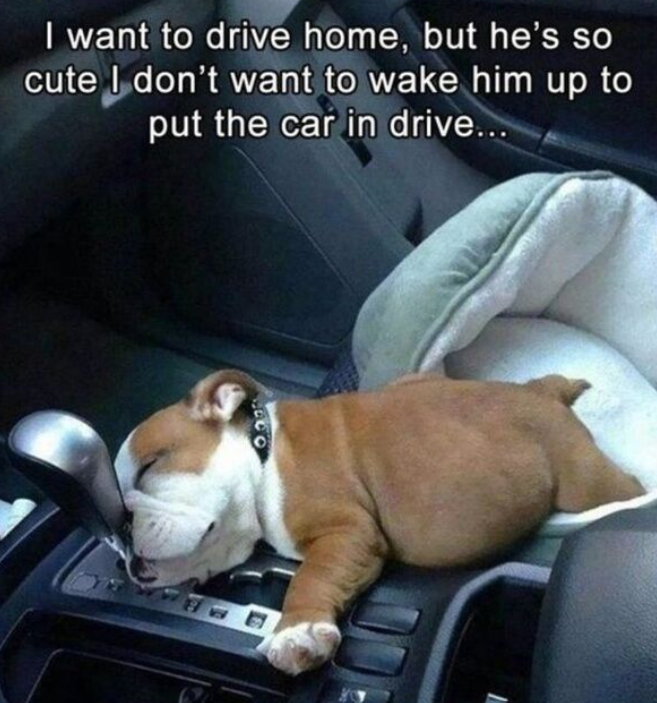 I want to drive home, but he's so cute I don't want to wake him up to put the car in drive... 0902