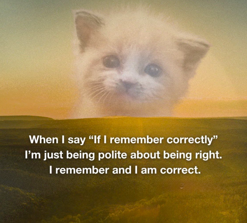 When I say "If I remember correctly" I'm just being polite about being right. I remember and I am correct.