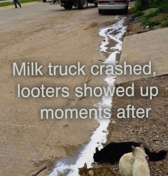Milk truck crashed, looters showed up moments after