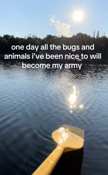 one day all the bugs and animals i've been nice to will become my army
