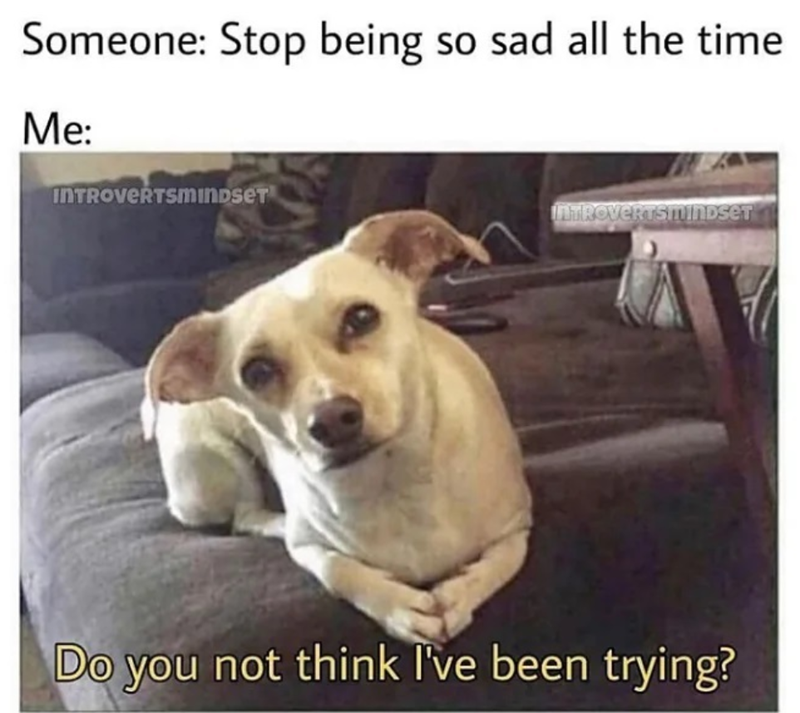 Someone: Stop being so sad all the time Me: INTROVERTSMINDSET LITROVERTSMINDSET Do you not think I've been trying?
