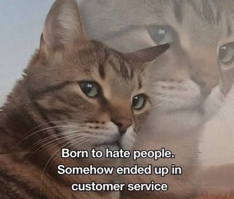 Born to hate people. Somehow ended up in customer service
