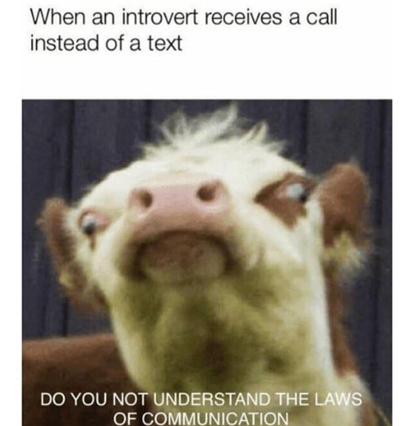 When an introvert receives a call instead of a text DO YOU NOT UNDERSTAND THE LAWS OF COMMUNICATION