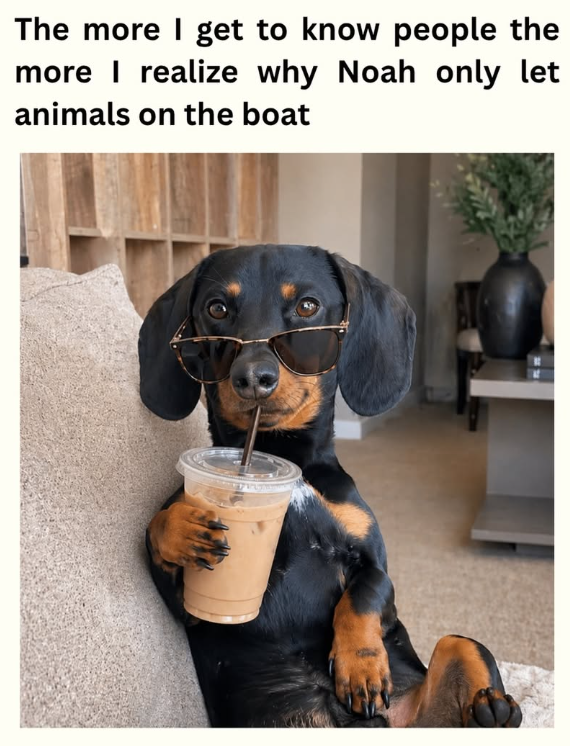 The more I get to know people the more I realize why Noah only let animals on the boat