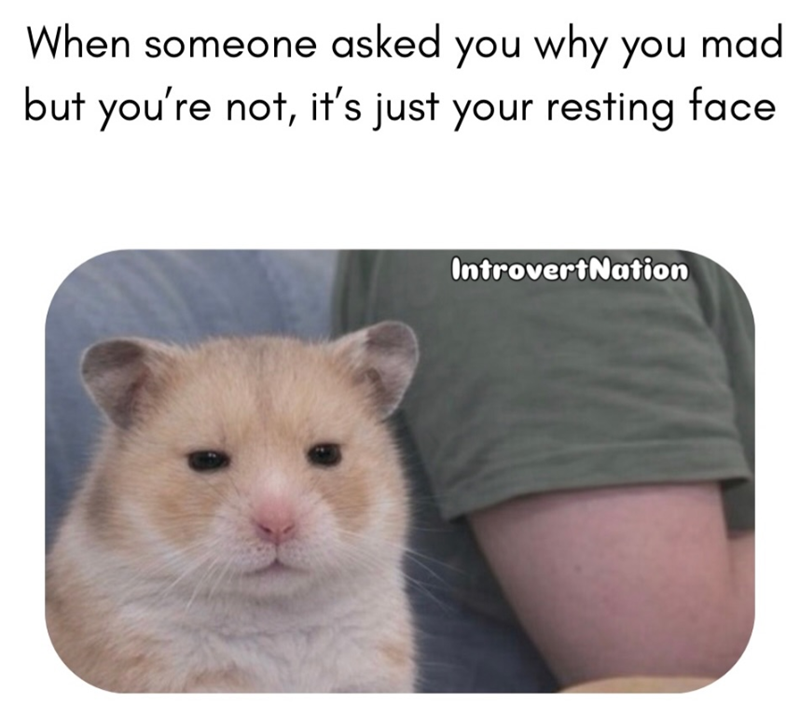 When someone asked you why you mad but you're not, it's just your resting face IntrovertNation