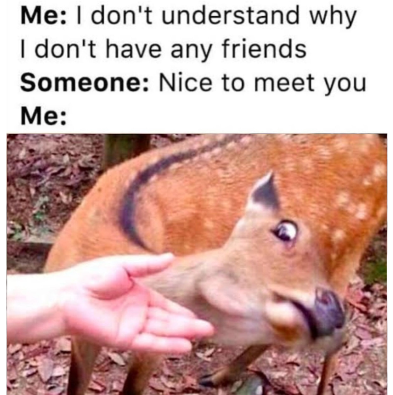 Me: I don't understand why I don't have any friends Someone: Nice to meet you Me:
