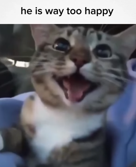 he is way too happy