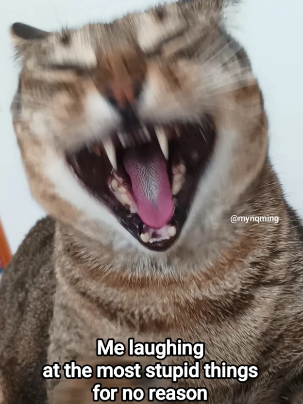@mynqming Me laughing at the most stupid things for no reason