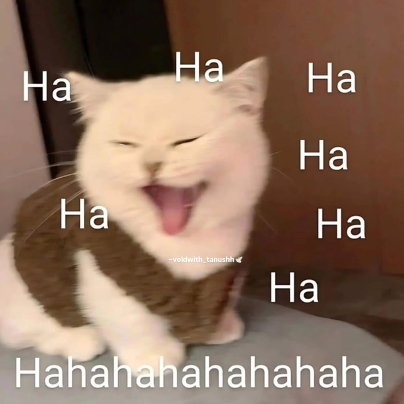 Ha Ha Ha Ha Ha Ha -voidwith_tanushh✔ Ha Hahahahahahahaha
