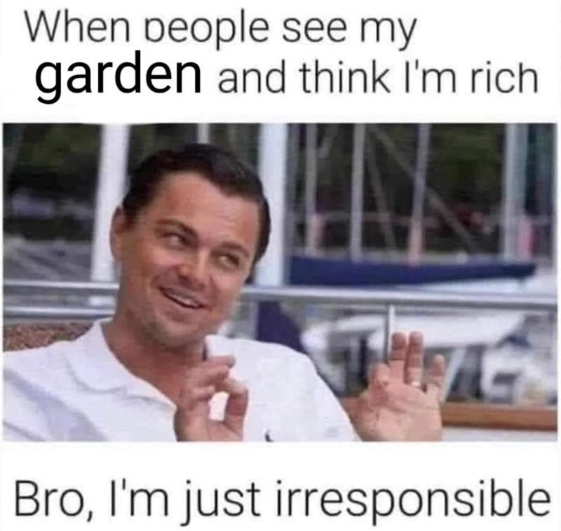 When people see my garden and think I'm rich Bro, I'm just irresponsible